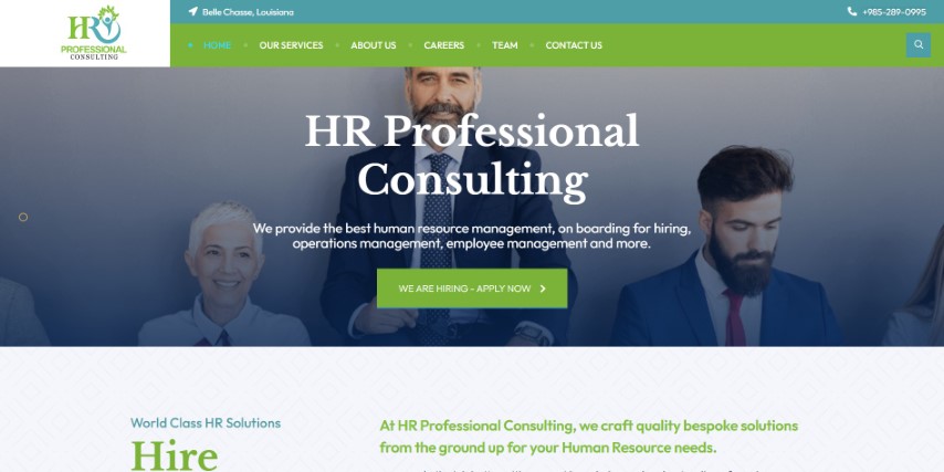Home - HR Professional Consulting (Small)